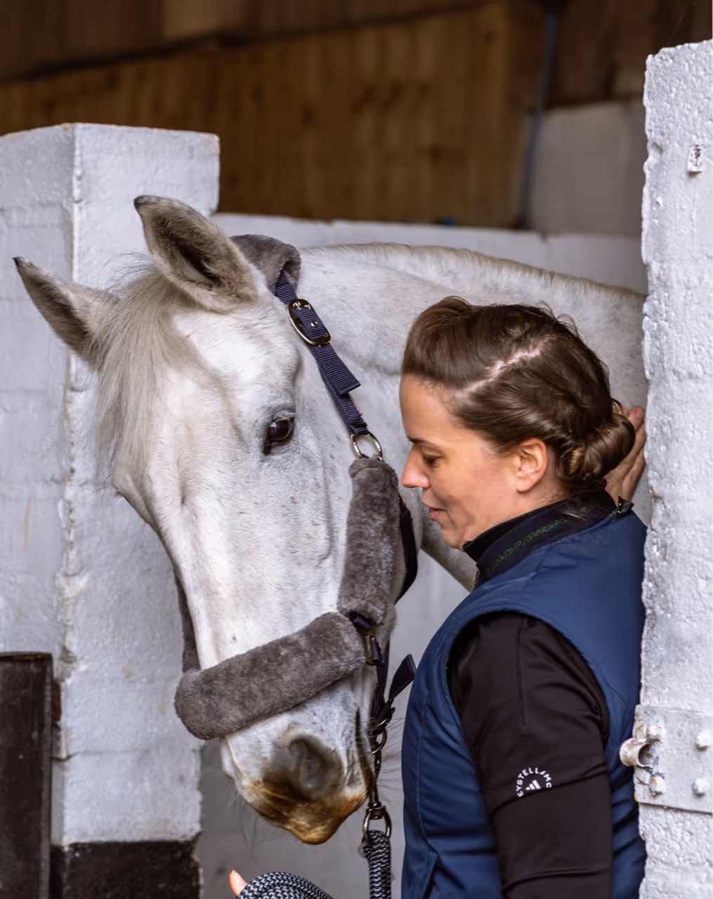 Horse in a quiet stable at dawn