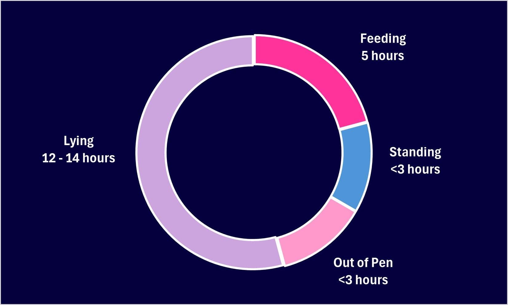 Dairy cow time budget